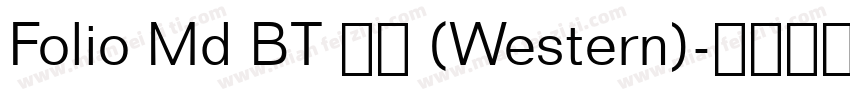 Folio Md BT 普通 (Western)字体转换